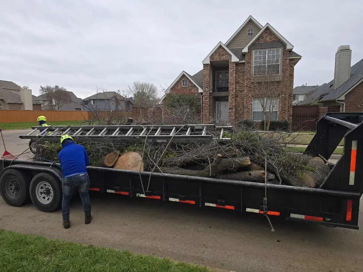 Expert Tree Removal with proper safety equipment in Cottleville